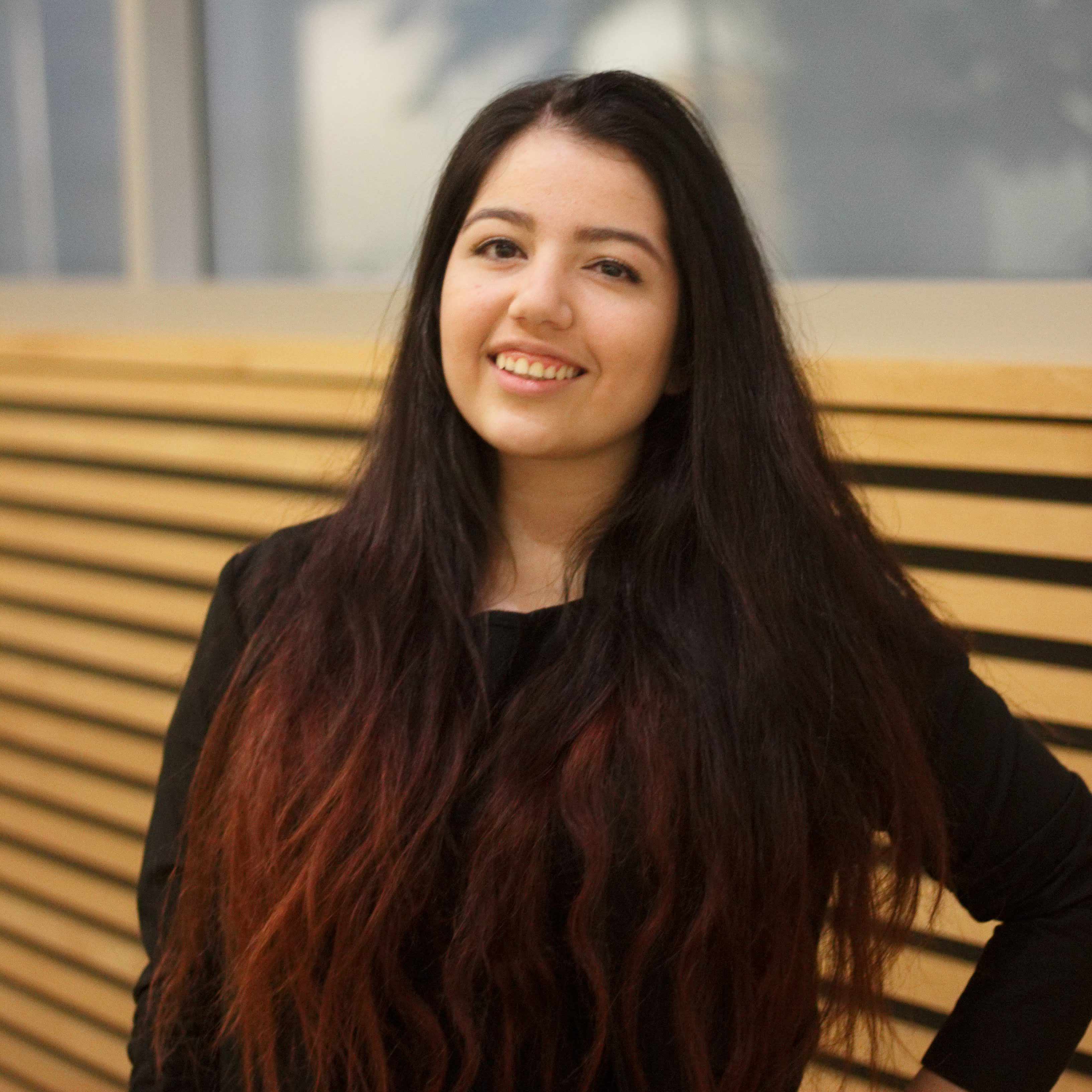 Noor Ali-Mohamad